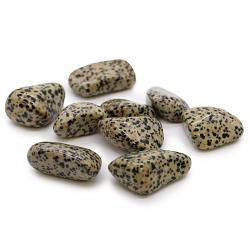Extra Large Tumble Stones - Dalmation Stone
