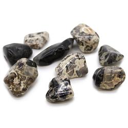 Extra Large Tumble Stones - Jasper - Silverleaf