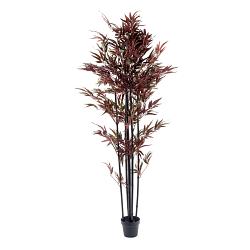 Bamboo Tree Red & Green 180cm